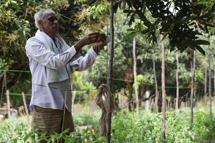Man - Afforestation Project