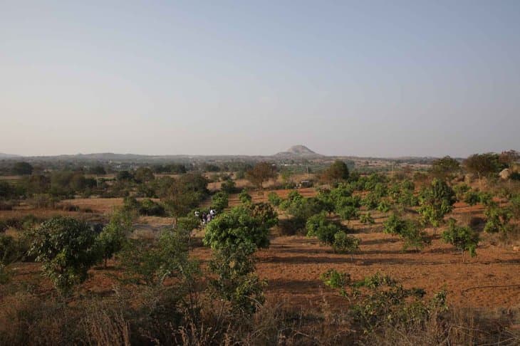 Afforestation Project